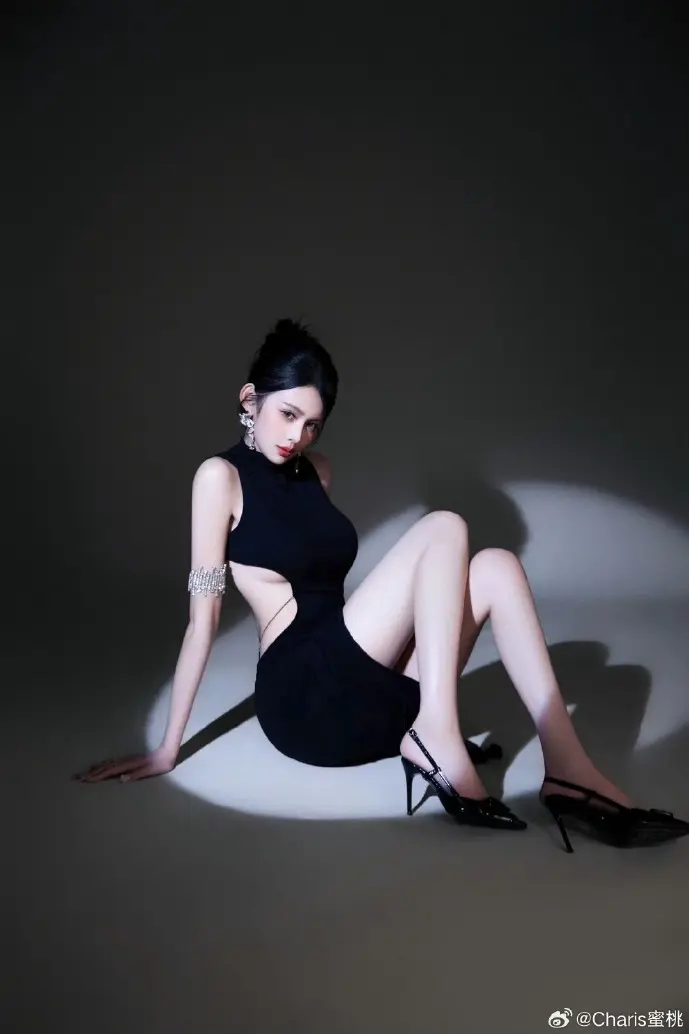 粤政易操作界面示意图